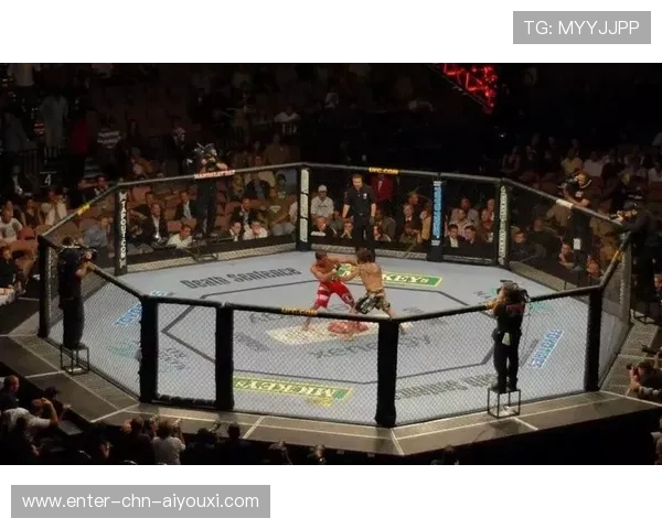 UFC拳手重击后直接跨坐对方的终极战术揭秘